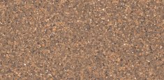 Dusty Orange