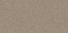 Warm Beige