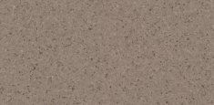 Cold Beige