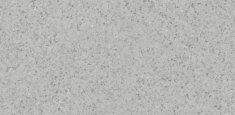 Light Cold Grey