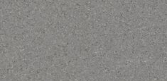 Warm Grey