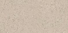 Light Cold Beige