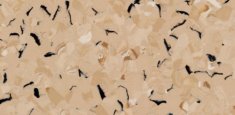 Yellow Beige 0105