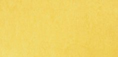 GIALLO 219