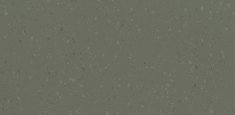 8644 Dried Tarragon