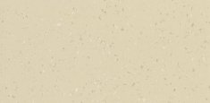 8654 Primed Canvas