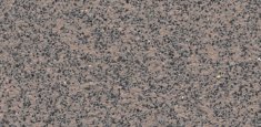 4205 Siltstone
