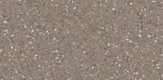 Dark Cool Beige 067