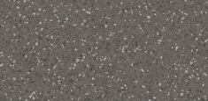 Dark Warm Grey 0656