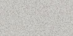 Light Warm Grey 0793