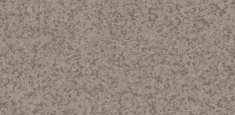 Dark Cool Beige 0798
