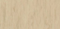 Light Yellow Beige 0483