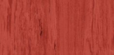 Red 0488