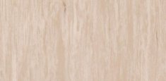 Light Beige 0479