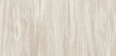 Warm Grey 0581