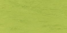 0121 Green Leaf