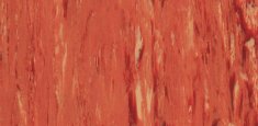 1055 Apricot