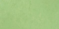 APPLE GREEN 754