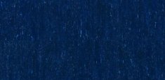 Blueberry 561