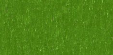 MOSS 552