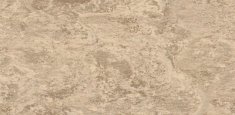 ALMOND 637