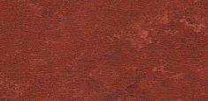 RASPBERRY 945