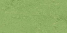 APPLE GREEN 754