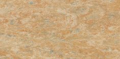 CAMEL 616