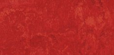 CARMINE 645