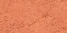 SALMON 642