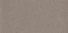 5762 Truffle Shore