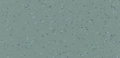 5211 Seagrass