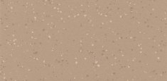 5213 Caramel Latte