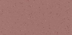 5217 Summer Coulis
