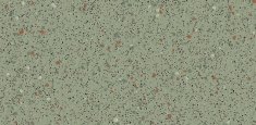 4500 Forest Pine