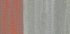 ocean coral 72536