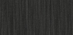 raven 17505