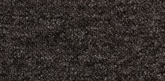 Essence AA90 9981
