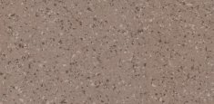 5363 Cinnamon
