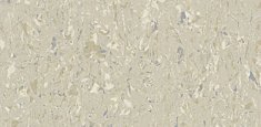 2633 Lichen