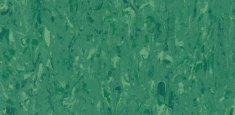 2337 Green Forest