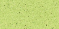 0338 Kiwi