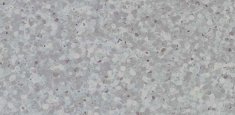 0697 Greenstone