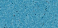 0342 Blueberry
