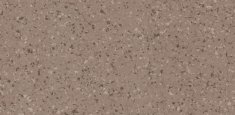 5363 Cinnamon