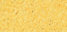0333 Ananas