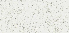 Sugar Beige