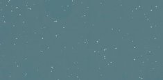 Snow Petrol