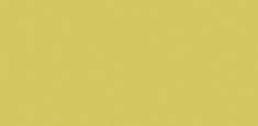 Uni Bright Anis