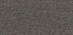 2105 Aniseed